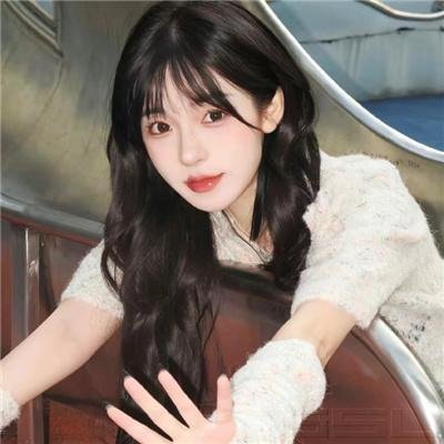 狗狗监护权